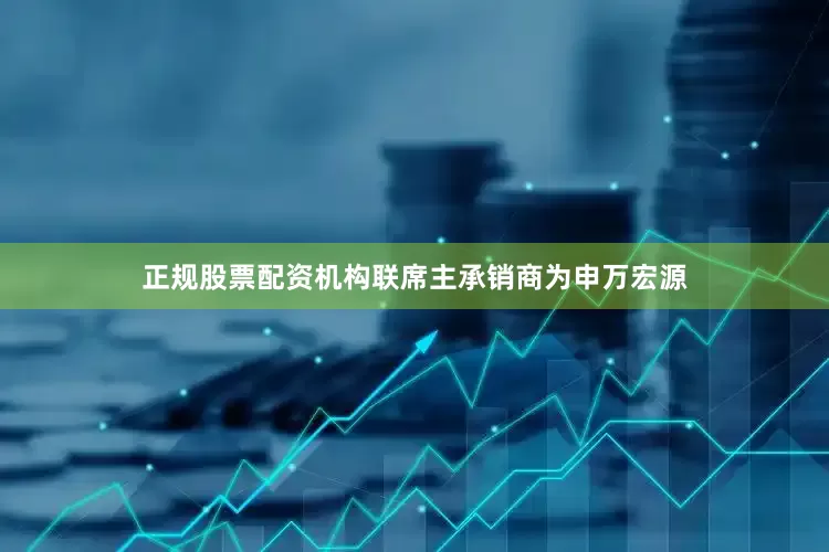 正规股票配资机构联席主承销商为申万宏源
