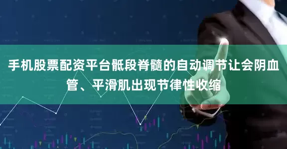 手机股票配资平台骶段脊髓的自动调节让会阴血管、平滑肌出现节律性收缩