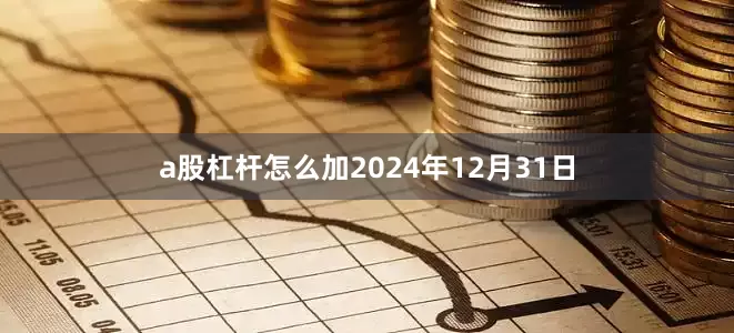 a股杠杆怎么加2024年12月31日