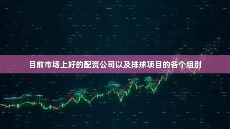 目前市场上好的配资公司以及排球项目的各个组别